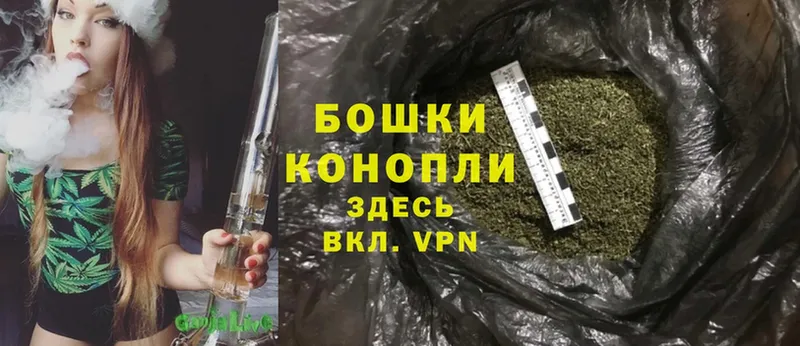 Каннабис Ganja  Салаир 